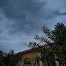 سعد التميمي