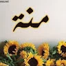 Mahmed Menna