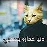 Ahmed Rafat