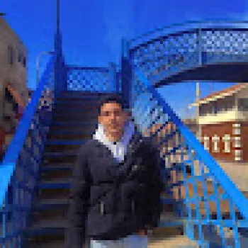 عمار هانى