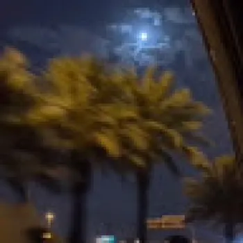 Abo_snayen