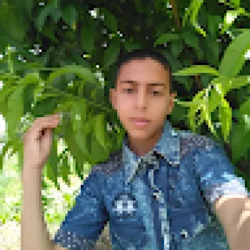 Mouhamed Zaoui
