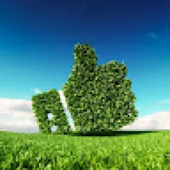 م / على شوقى