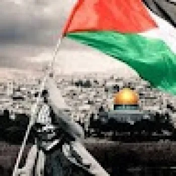 محمد يحيى