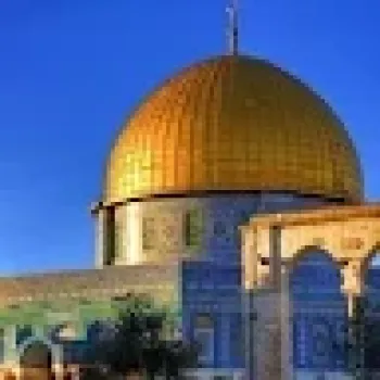 معاذ محمد ابوعامر تاسع 8