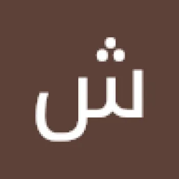 شمس الدين ديبو