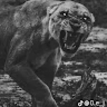 اوس علي