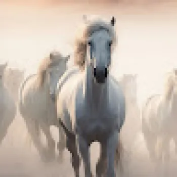 المعتز السعدي