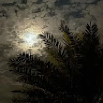 عمران الزعبي