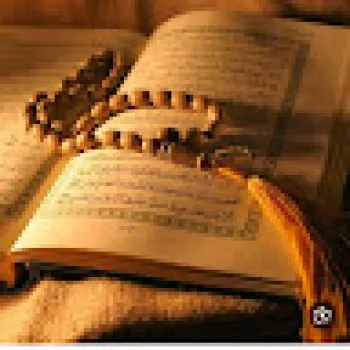 Walaa Alaa