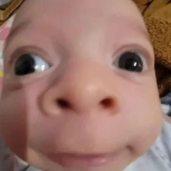 العجيب